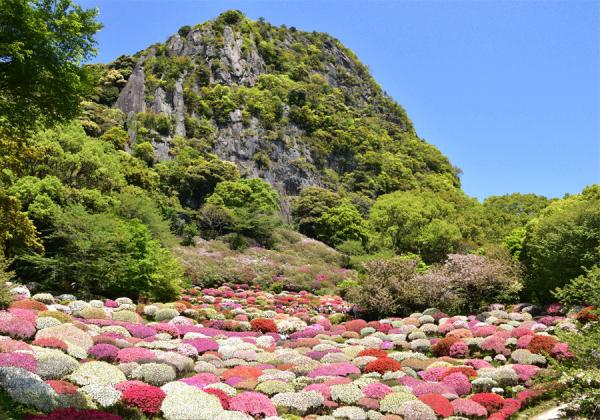 御船山楽園花まつりとゴールデンウィーク<得>スイーツくだものマルシェ旅1
